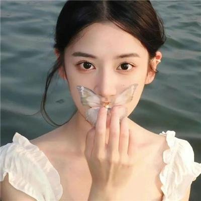 我的老婆是只猫